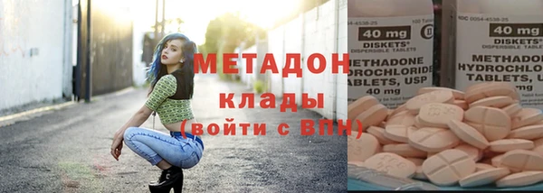 индика Алзамай