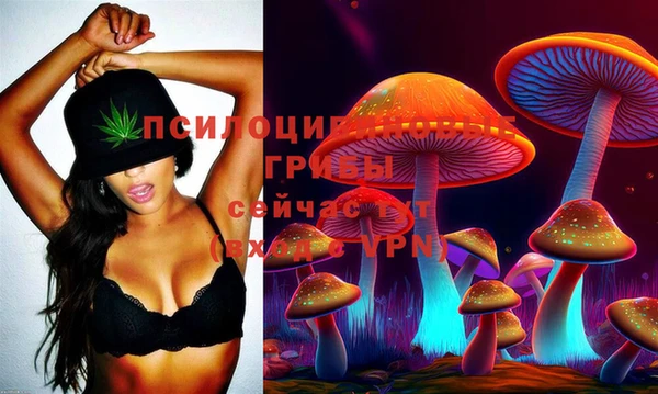 таблы Алексин