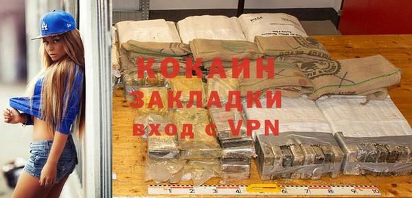 индика Алзамай