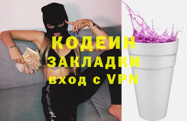 индика Алзамай