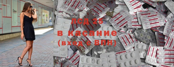 индика Алзамай