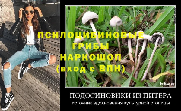 таблы Алексин