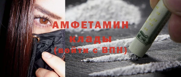 индика Алзамай