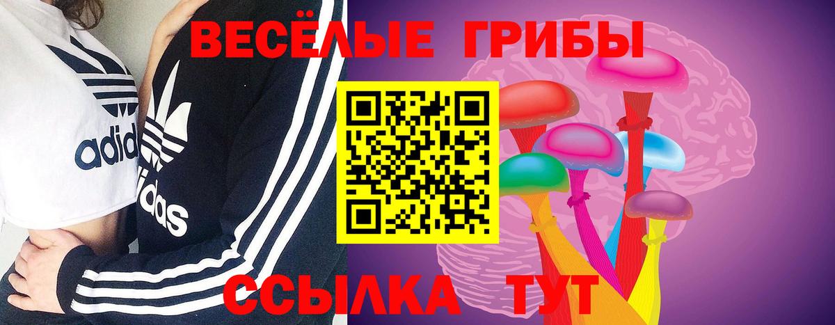 Галлюциногенные грибы мухоморы Тольятти