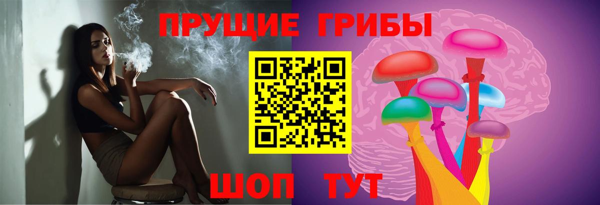 Тольятти  Псилоцибиновые грибы Psilocybine cubensis  Псилоцибиновые грибы Psilocybine cubensis  Вход с VPN 